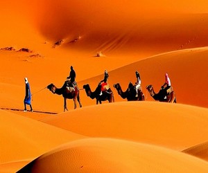 Camel trekking desert tour